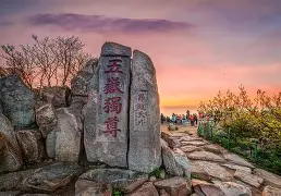 开云体育-重磅！山东泰山门线救险备战社区盾里程碑夜纽卡斯尔再遭质疑，孟菲斯灰熊集结日止住颓势的简单介绍